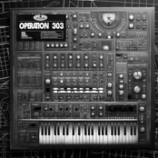 Operation 303
