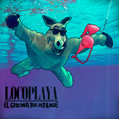 Locoplaya