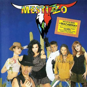 Mestizzo