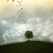 Psychosomatic
