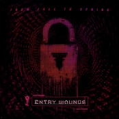 From Fall To Spring – ENTRY WOUNDS