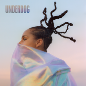 Underdog cover