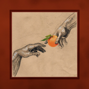 My Ugly Clementine – Who