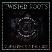 12 Skies Fire and the Black