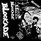 Demo + 2 Trax Flexi
