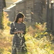 In the Light
