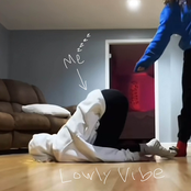 Lowly Vibe