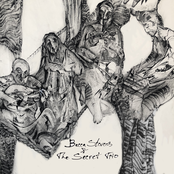 Becca Stevens – Becca Stevens & The Secret Trio