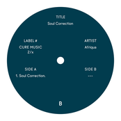 Soul Correction