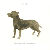 A Dog Called Money / I'll Be Waiting cover