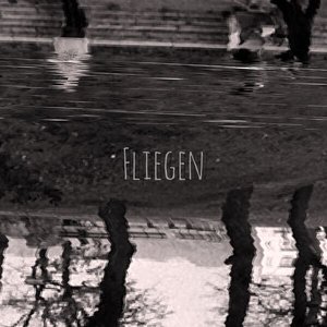 Fliegen