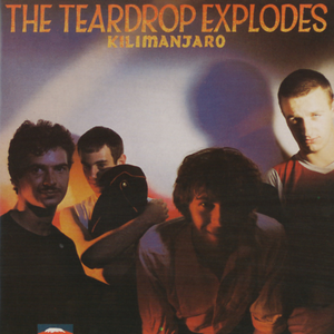 The Teardrop Explodes