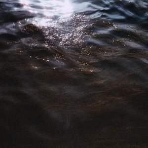 Pure Shores