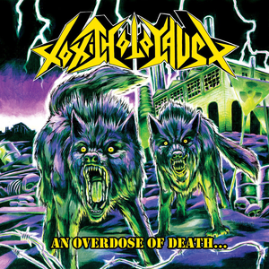An Overdose of Death... by Toxic Holocaust