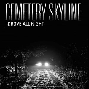 I Drove All Night