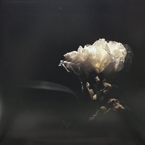 Tell Me True (feat. Adriel Denae)