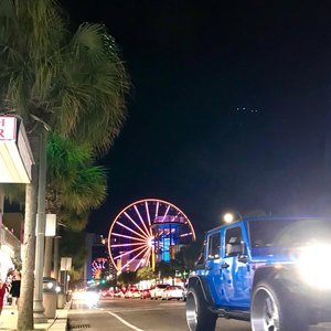 Palm City