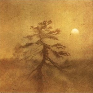 Songs Of Moors And Misty Fields