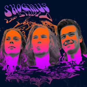 Skogmus