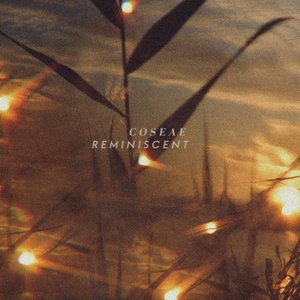 Reminiscent