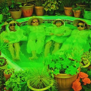 Avatar for The Lavender Flu
