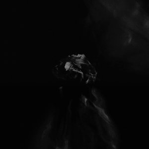 Daniel Di Angelo - Lost Connection Lyrics - Zortam Music
