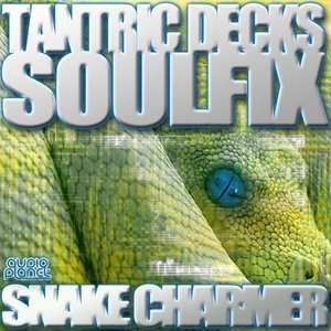 Avatar for Soulfix & Tantric Decks