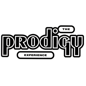 Experience by The Prodigy