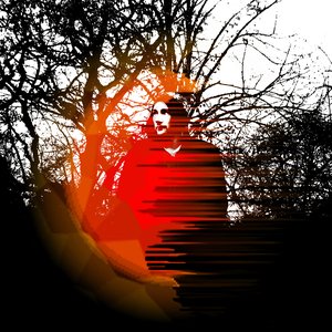 Avatar for Wild Tree