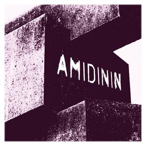 Amidinin