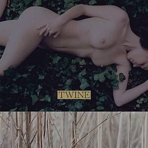 Twine