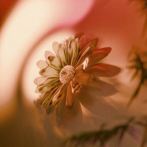 liminal