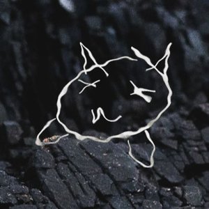 Avatar for CVRBI