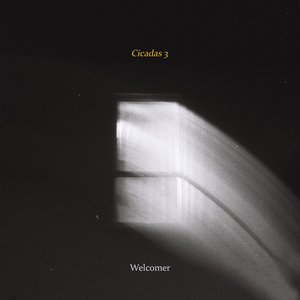 Cicadas 3