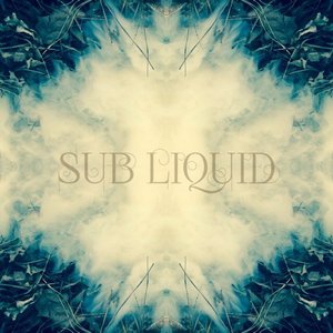 Avatar for Sub Liquid