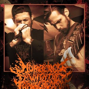 Avatar for Numbered with the Transgressors