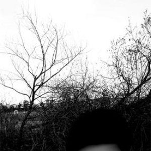 Avatar for Envisage