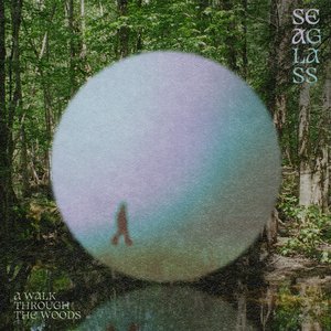 A Walk Through the Woods