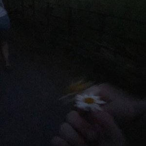 Midnight Summer Night (Demo)