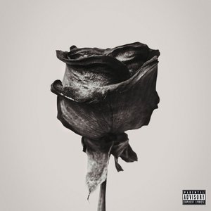 Black Rose