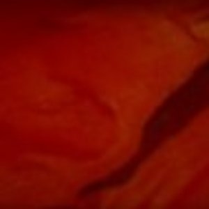 Avatar for Bloodflag