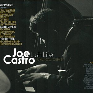 Lush Life - A Musical Journey