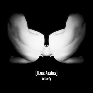 Butterfly by Haus Arafna