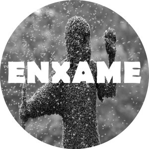 Avatar for Enxame