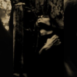 Avatar for Inarborat