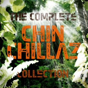 Complete Collection - 30 Downtempo and Dub Choones