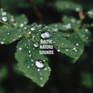 Rain Sounds Vol. 3