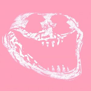 Avatar for ZANYE VEZT