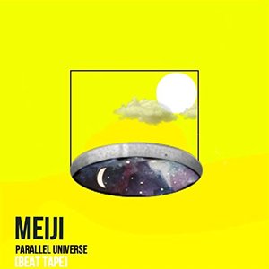 Parallel Universe