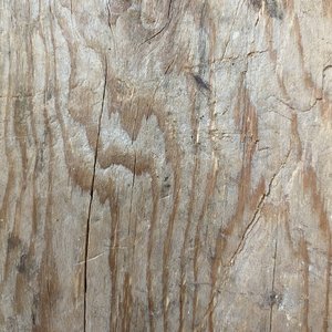 playing a plank of wood twice I
